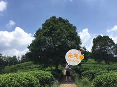 -酒仙湖景区