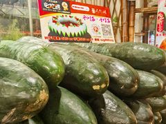 -尚竹阁冬瓜盅·18年地标美食(平洲店)
