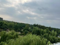 -南京眼步行桥