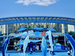 -海合安成都极地海洋公园