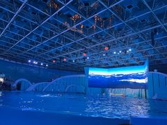 -海合安青岛极地海洋公园