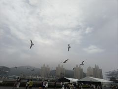 -星海广场