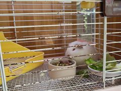 -宠物兔专门店(天丰利市场店)