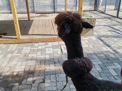 -长白岛森林公园