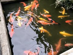 -羊楼洞