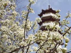 -云龙山