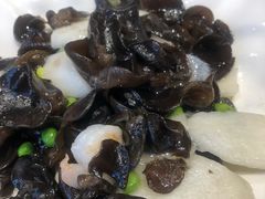 芥末木耳-渔家风味·鲅鱼水饺·央视展播·海鲜天津菜(开发区店)