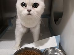 -美迦爱-牙专科·兔科·骨科诊疗中心(北苑店)