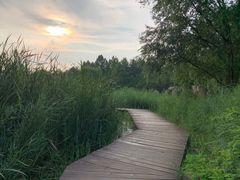 -前关湿地公园