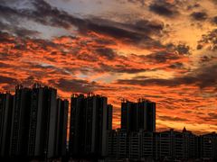 -三水森林公园