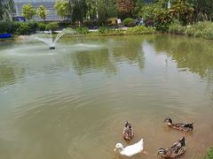 -深圳大学(丽湖校区)