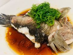 清蒸笋壳鱼-圆苑(静安寺店)