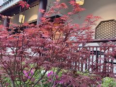 -苏州吴宫泛太平洋酒店