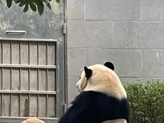 -石排湾郊野公园