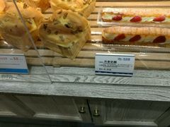 -卡吉诺动物奶油生日蛋糕(东明路店)