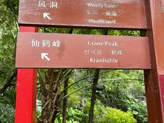 -叠彩山景区