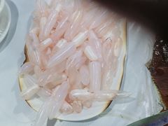 鲮鱼泡-章记正宗南岗鱼蛋火锅