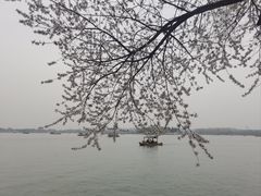 -颐和园