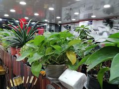 -豫掌柜饸饹面·烩面(秀沿路店)