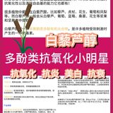 白藜芦醇抗氧化