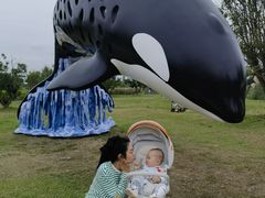 -白鹭湾湿地公园