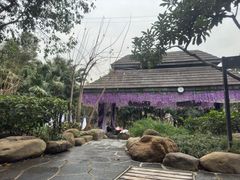 -融汇温泉