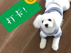 -PETKIT小佩宠物·低压洗护(国顺东路店)