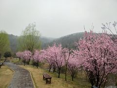 -石塘人家