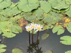 -云溪植物园
