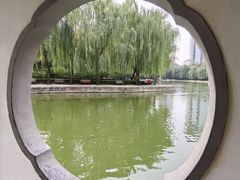 -团结湖公园