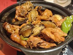 鸡焖鲍鱼-旺角小渔村·海肠捞饭开创者(二马路店)