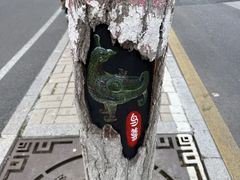 -迎泽公园