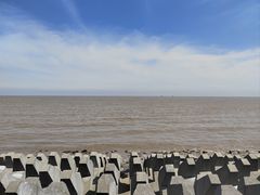 -奉贤海滩