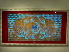 -上海昆虫博物馆