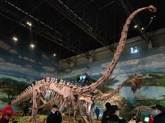 -自贡恐龙博物馆