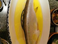 清蒸白鱼-南京大牌档(济南万象城店)