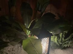-紫莲花足道(柯桥古镇店)