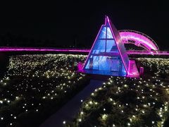 -广州花之恋城堡酒店