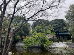 -柳侯公园