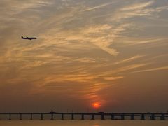 -宝安西湾红树林湿地公园