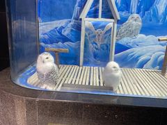 -成都浩海立方海洋公园