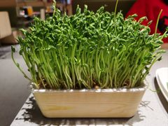 -海底捞火锅(金桥太茂商业广场店)