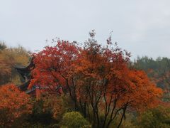 -秦岭终南山世界地质公园翠华山景区