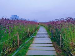 -深圳湾公园(南山区)