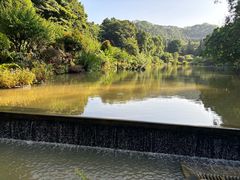 -深圳仙湖植物园