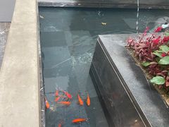 -成都中升之星奔驰4S店