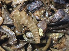 -长顺河豚馆(江洲东路)