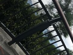-金鸡山公园