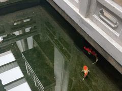 -鲤院·新中式美学·庭院餐厅(夫子庙店)