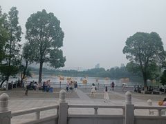 -洋湖国家湿地公园